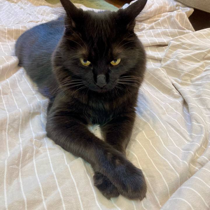 0792a66b c3e7 409f 9989 ca3d7672668a 1725852733374