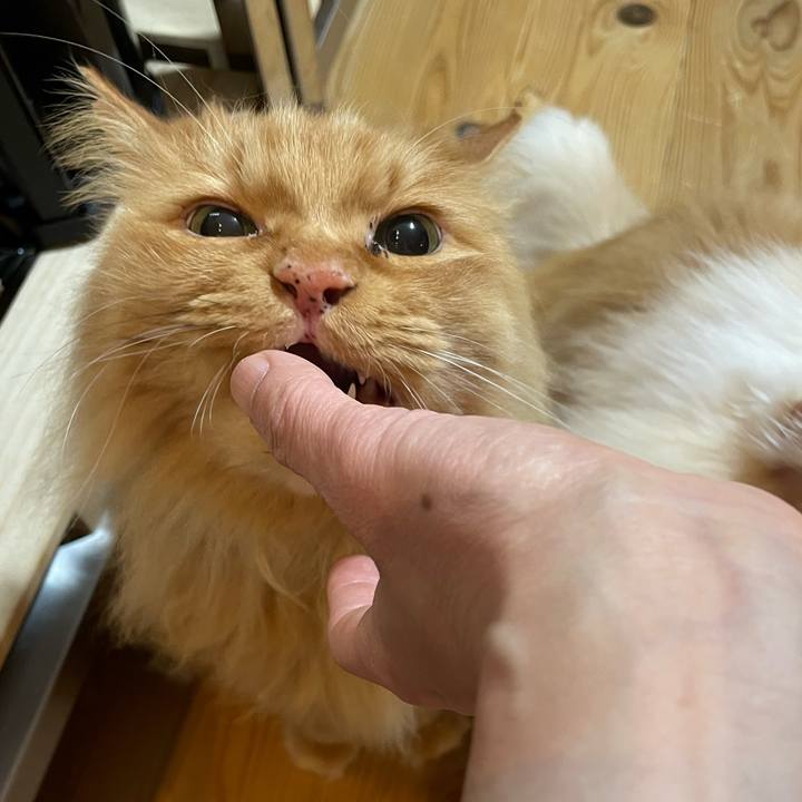 0792b58d ad5b 4fa6 90d7 b576b0842719 1647031578325