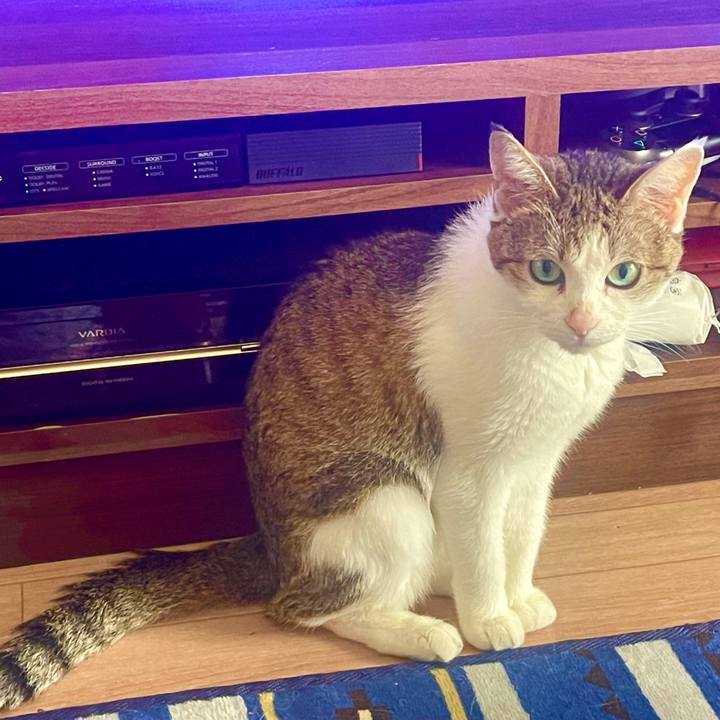 0792e983 a2a9 47a3 977a 092bd9758d24 1629422319367