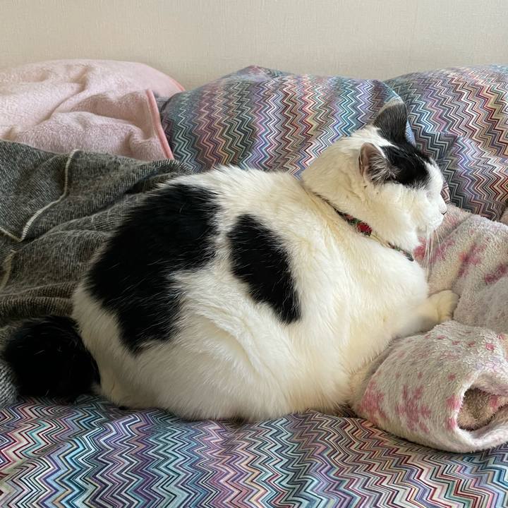 0792fa3b ad91 42ca 89bc 2b1521a75384 1641512307055