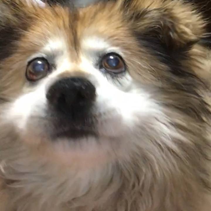 07930200 41ec 4f63 b91c 9e3fc0ccbea6 1590717194690