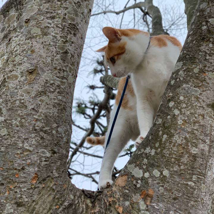 07933638 c912 49ae 9283 bcb3254b69e2 1583629134632