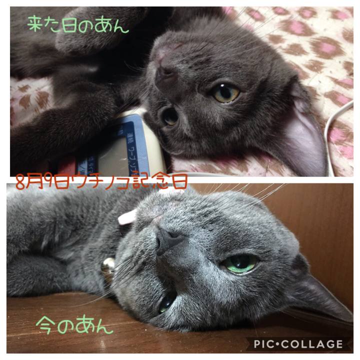 07934049 1fc2 4bc5 a788 fda33c608365 1565350402526