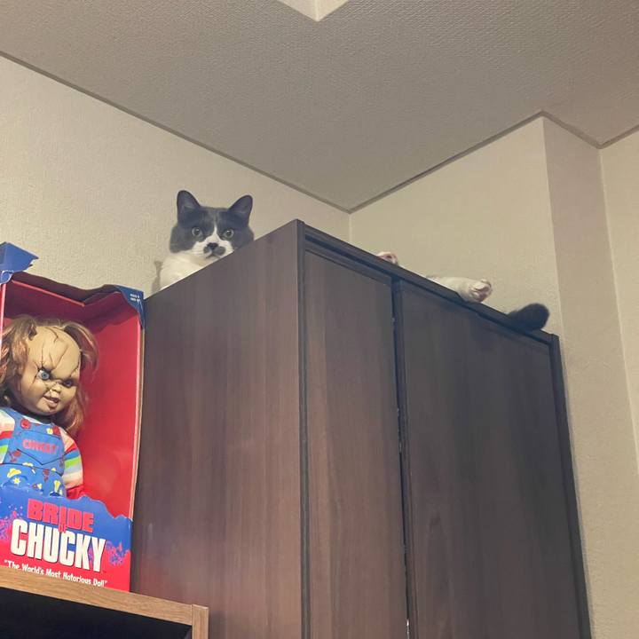 07934a86 0569 485b 9a9e 5a432dbc2453 1750163177333