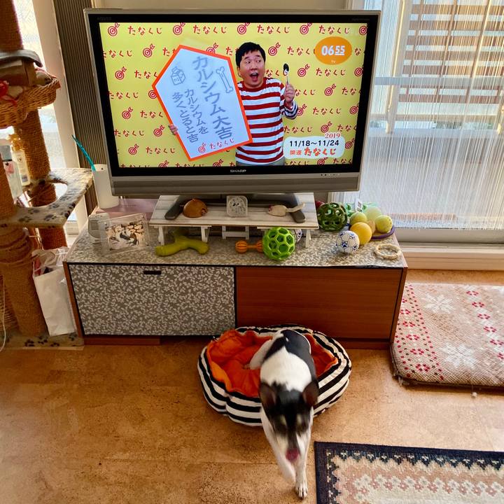 07934d3e 9cb0 4276 85e6 4dea71bd42aa 1574028814188