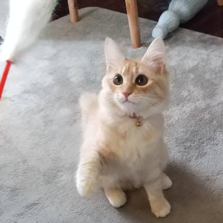 0793556b bab4 4519 9237 bedb78e72632 1611881849016