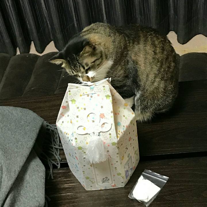 07935d75 7412 4a31 9349 76e6f75e0766 1516445722244