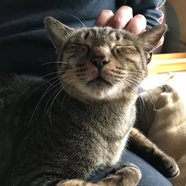 0793624e a570 4793 b040 d3f6c17b5308 1508722687801