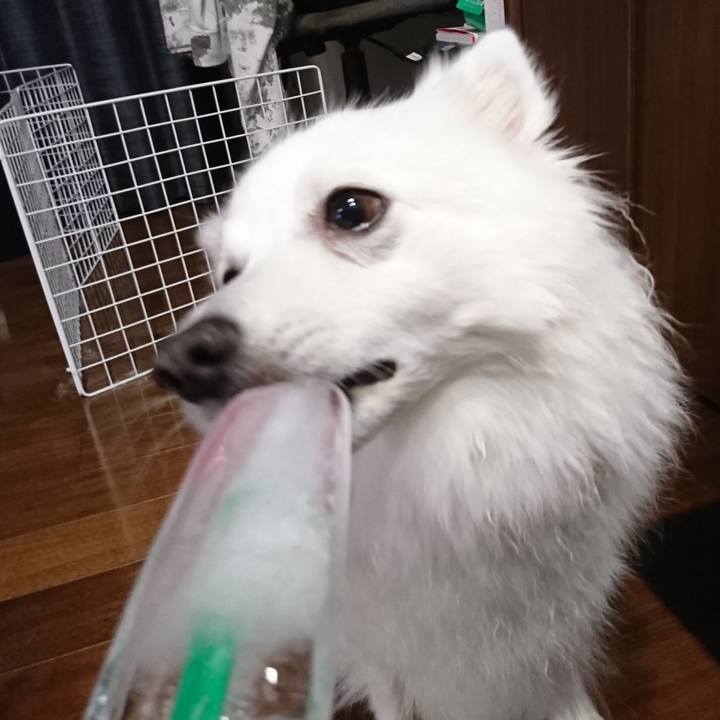 07937686 bb7e 4da3 af8f a514dfd6975e 1594821689790