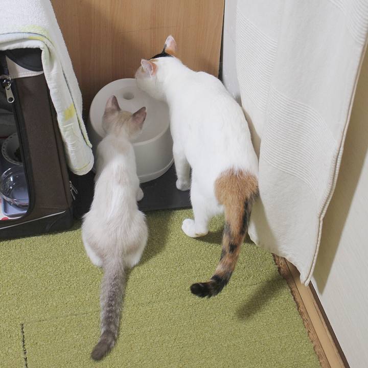 07937e0d 8f98 4e80 8bdf 6e184b58d8c9 1600037724440