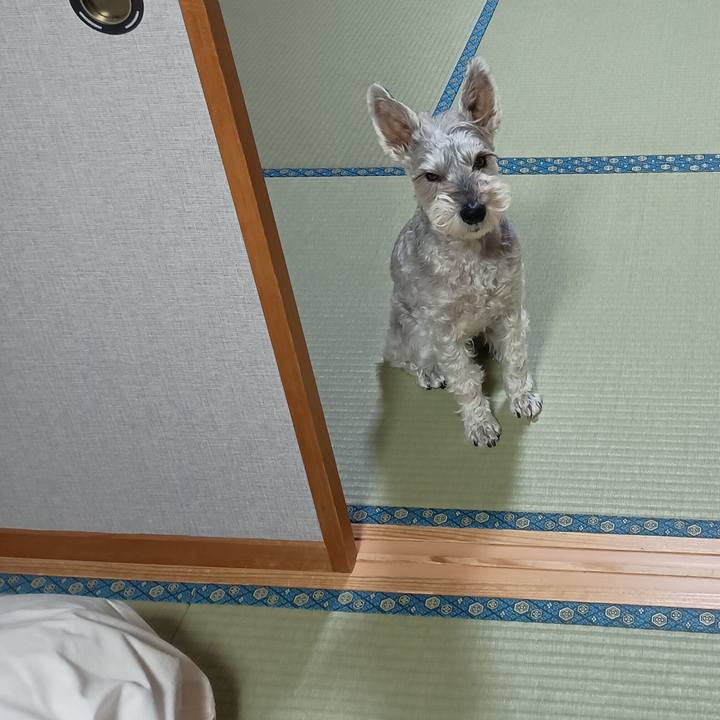 07938182 77d2 4f36 8195 ef208cfad11c 1764596526602