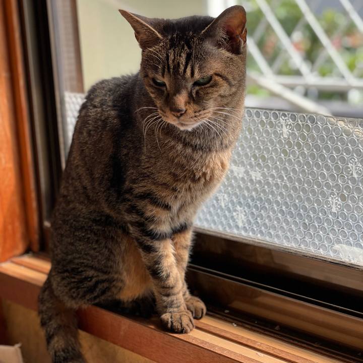 079385ac eec1 41c3 ba75 e2fd0df7c7fd 1618881902451