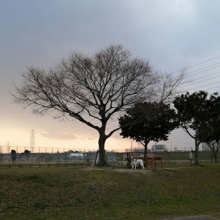 07938efc bddd 4743 ada6 a9a2bce0a9f2 1579510291780