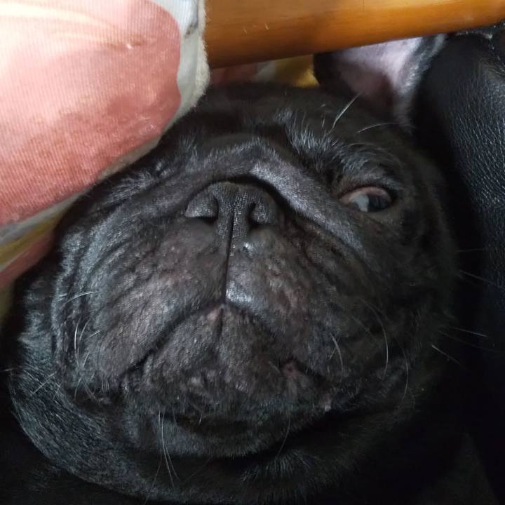 0793ea9f 8aed 4bbc 86af ca07ab82ad5a 1568646554530