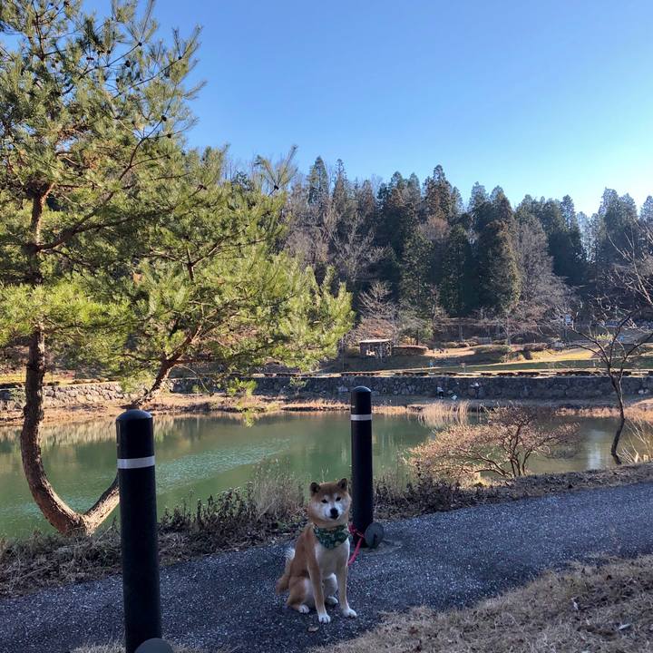 0793f784 f344 4f74 9149 a6857988a592 1547455567249