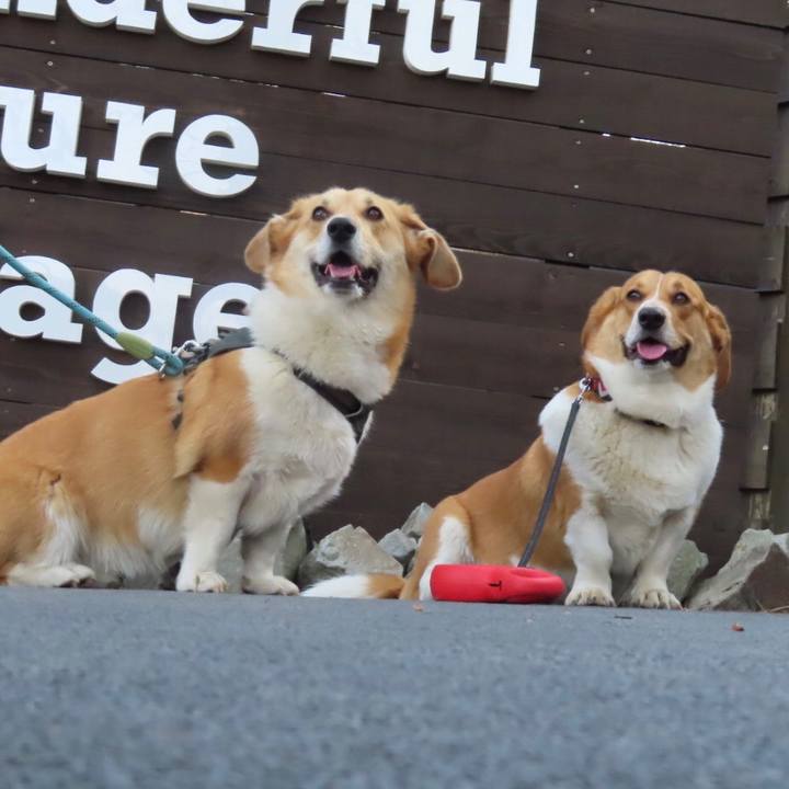 07943551 15ac 4295 ad39 91738b9626d5 1645930953246