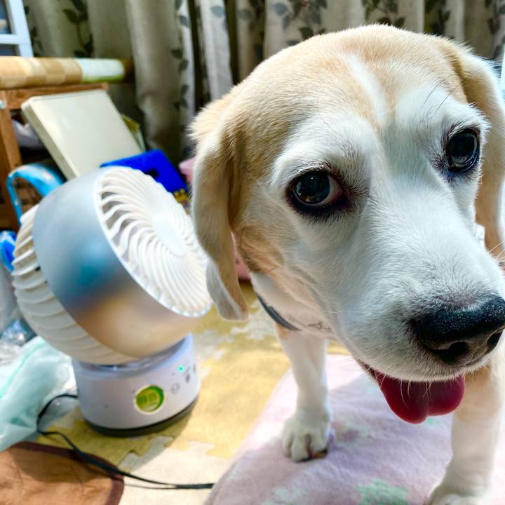 07943fe1 f1ec 4d1e 940b b8d97fa94c7f 1623298384417