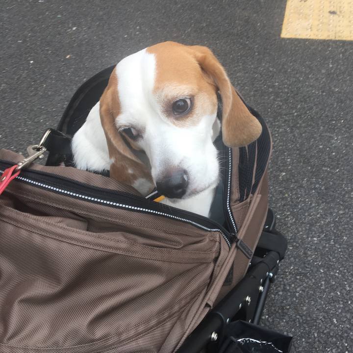 0794692a e75d 4e88 a6e2 37bd1ca53653 1546949428805