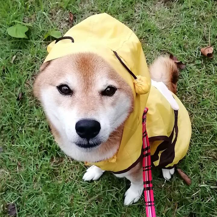 07947c06 26c5 4866 a039 004d365ea6d4 1665648198516