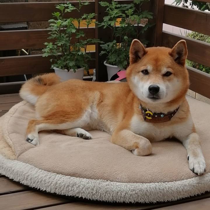 07947dc1 4538 4ff1 8e94 bc72d890bcfd 1617327510538