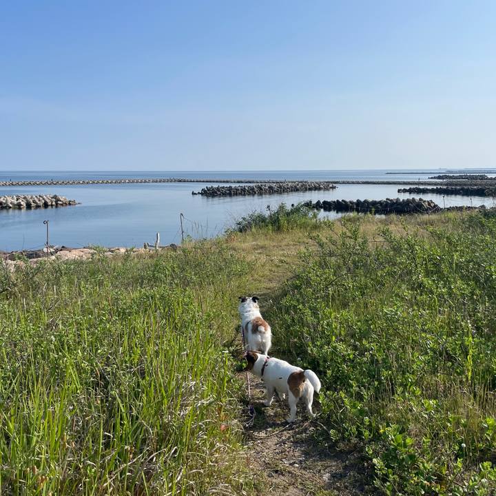 07948562 3f6d 4c56 920d 49f316dc98da 1749250452823