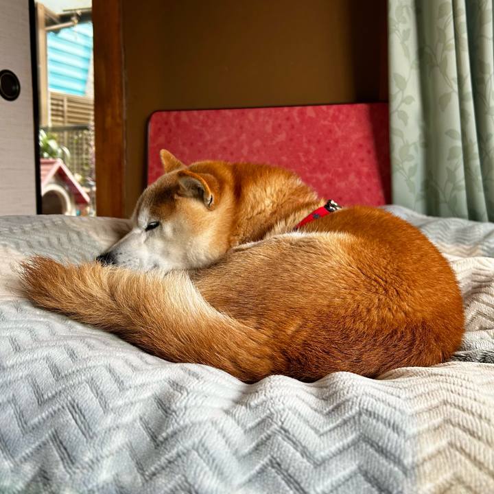 07949e7a c9cc 43f8 afb7 04559119e77e 1712833024568