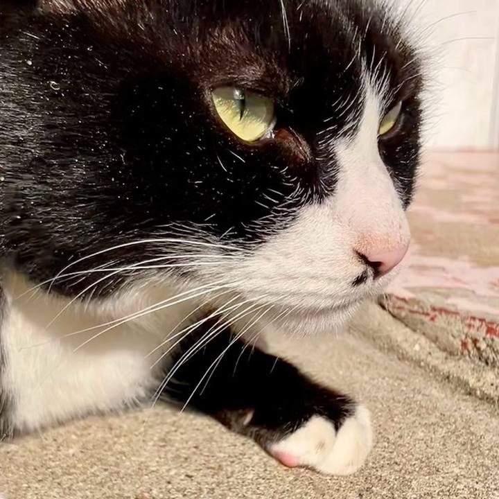 0794ac6b f6dd 408d a63a eada9abc2d32 1735788575334