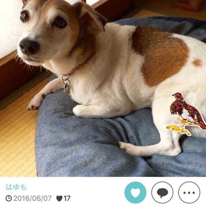 0794f928 7142 4149 b6d8 4e89b629a088 1528324798903