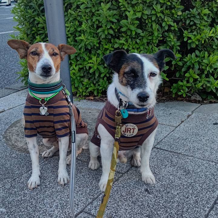 07954b09 8050 42c6 9e21 f3f5d5c5635b 1698272279323