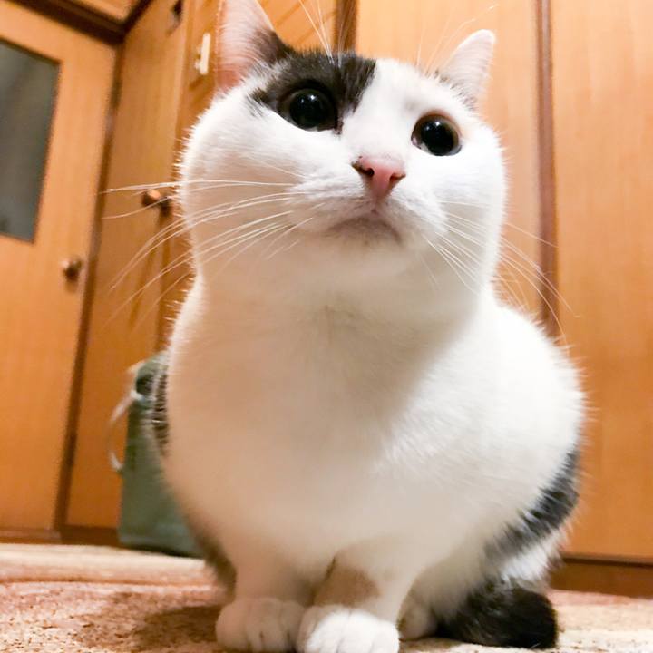 07956742 3370 4736 ba52 0276ee125165 1513813775977