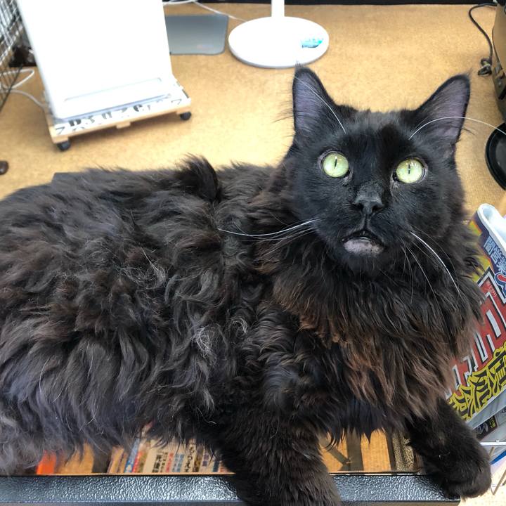 0795a8ec 9343 46ea 87b8 41cfbbcbf96e 1564795191350