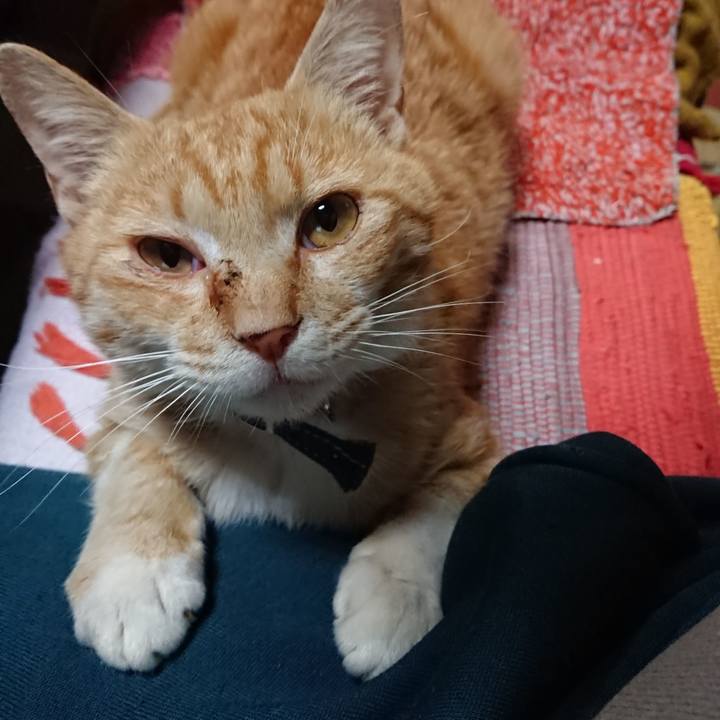 0795abfb 668a 46e0 b5a1 bab3f7f29f88 1558526546139