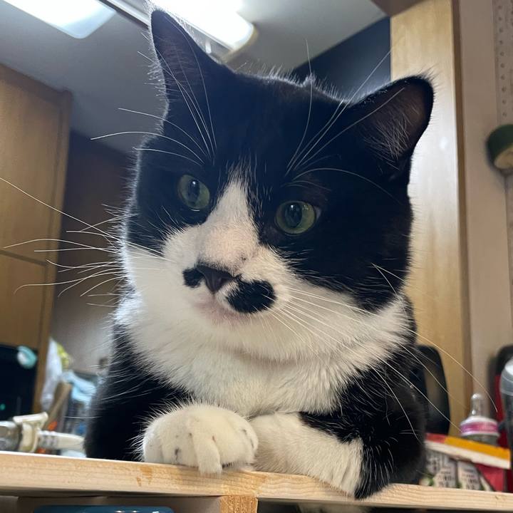 0795c3cb 104b 4bfc 8f47 5306a9eb7bc1 1661645702012