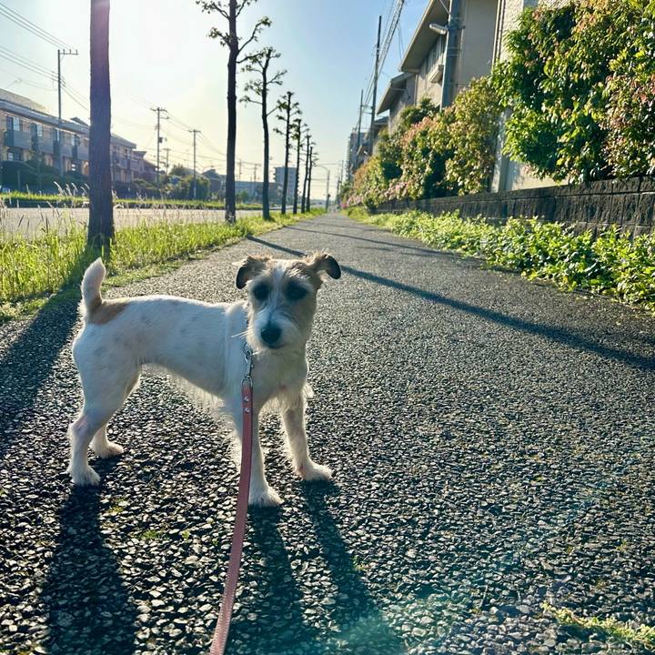 0795d0be b30f 4364 ba33 2ae6242e2d7b 1714742566144