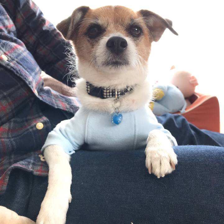 07962ea0 a3cb 48d3 bc3b 02cb80a389c1 1546418731402