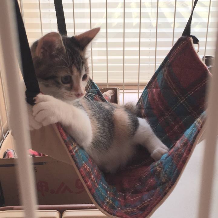 0796320c 1c04 48ec b84a 93540b1a800b 1572822795405