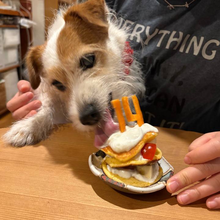 079658e0 1e97 431c ac79 fa258b602751 1749820358634