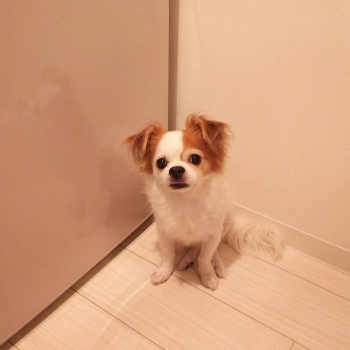 07966726 006c 4f3e a82a 9e33e4dcdb1e 1531650495667