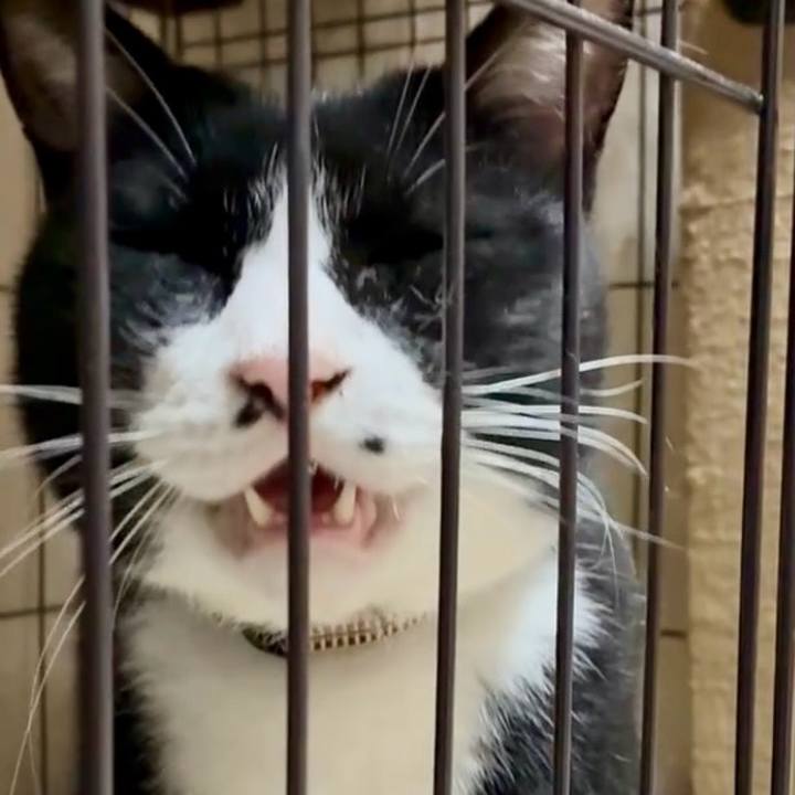 07967e2b 5aa8 495e 80d2 c9d95727223c 1760960077961