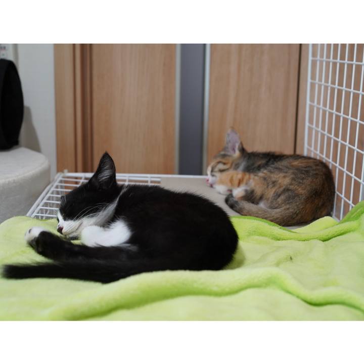 07969e86 5908 4ab1 9bf3 ceffe63cb005 1662091375210