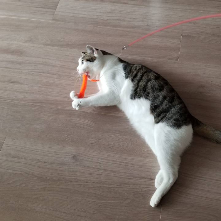 0797055d 476d 4050 ac8f 071b8e58b68c 1552889358371