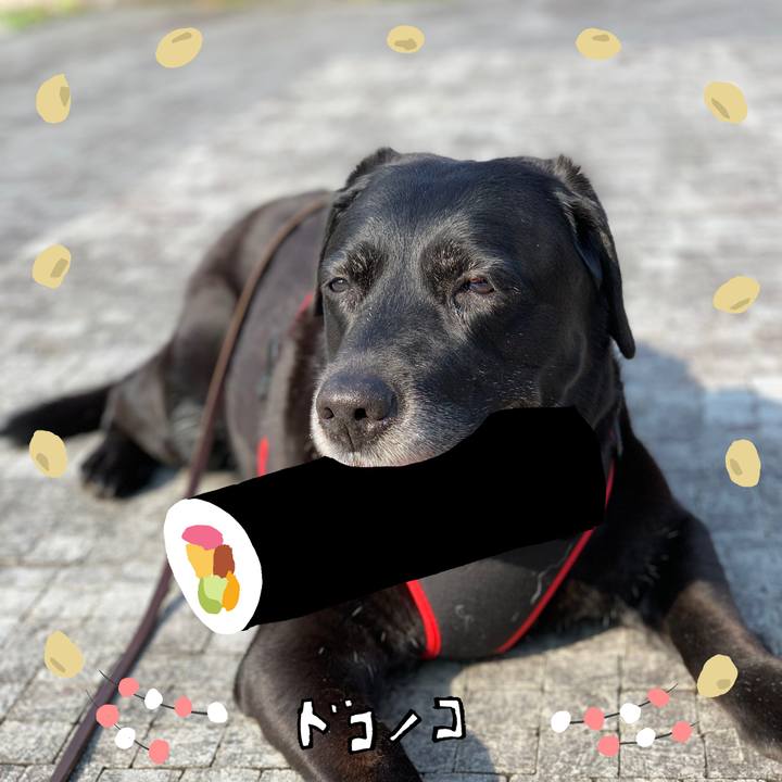 07970eaa 6508 4c37 aba0 55e04937b8ce 1741124257064