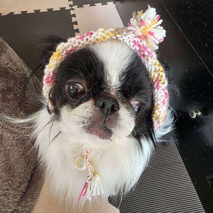 07970eb6 a9e7 4f09 a911 fa3be66c2909 1767910201590