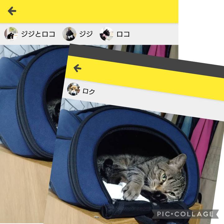 079748e8 d747 42d7 b8b1 1ce4bd2d744b 1687565840667