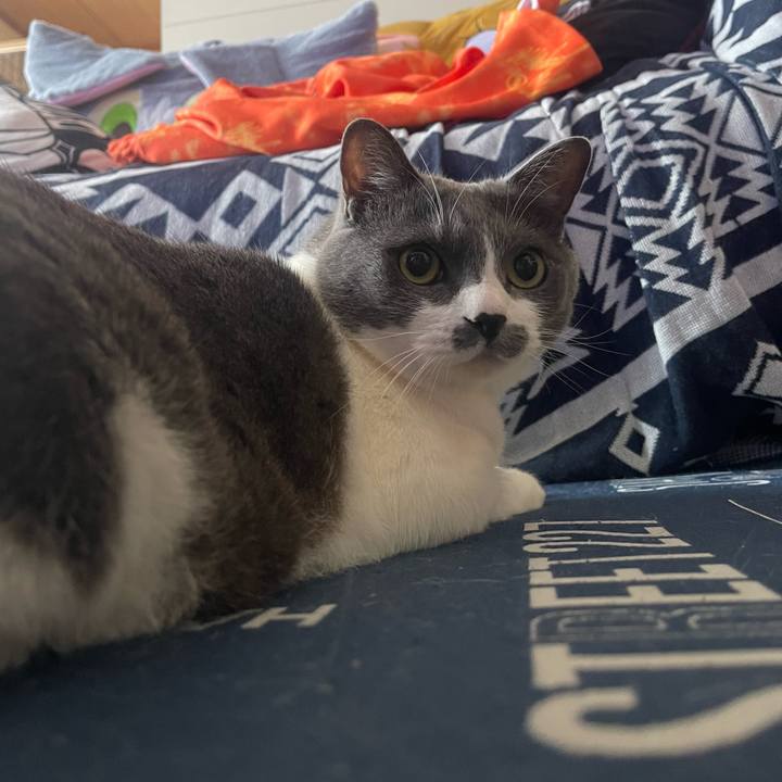 07975364 313d 4671 8989 7826b9cb20d1 1719181137087