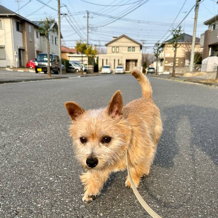 07975e87 c67b 4659 95ba 2434af1642ca 1710653461896