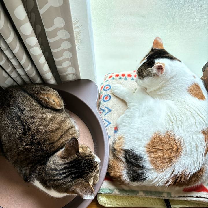 07976e96 fa40 47d8 bc2c 276f62386df7 1735951187781