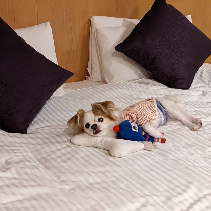 07978032 ed3b 44e5 b15e ad8806c0bd6a 1663604307776