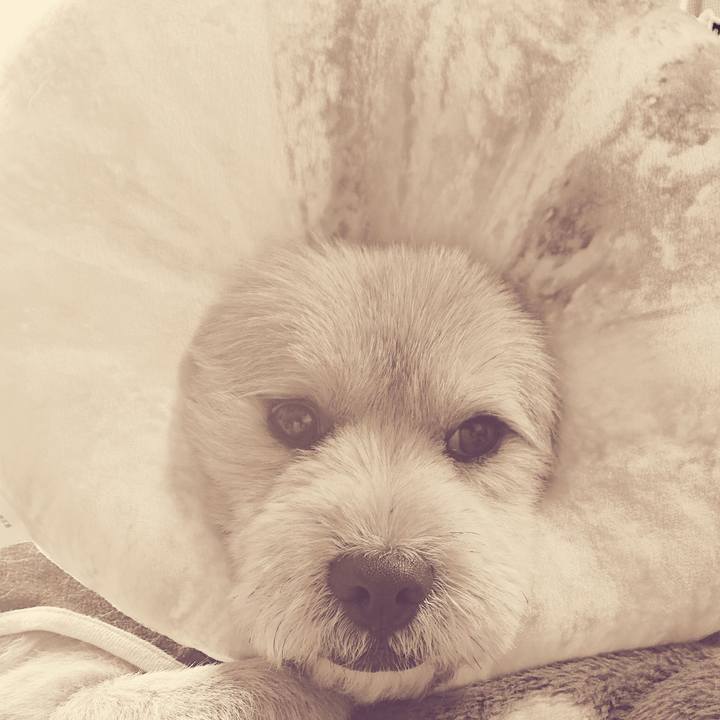 07979057 0124 4ffe 8233 f591020a5edf 1549164564012