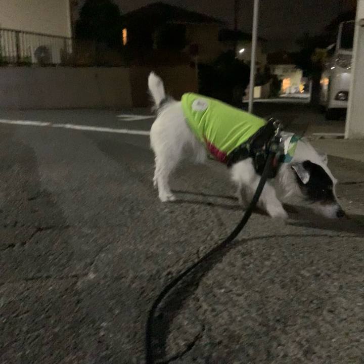 0797aef0 c0f3 46c9 8bc6 a47f11e7d550 1717156602856